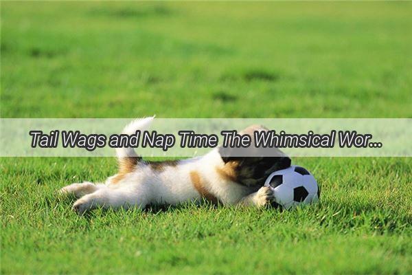 Tail Wags and Nap Time The Whimsical World of a Dogs Playful Slumber